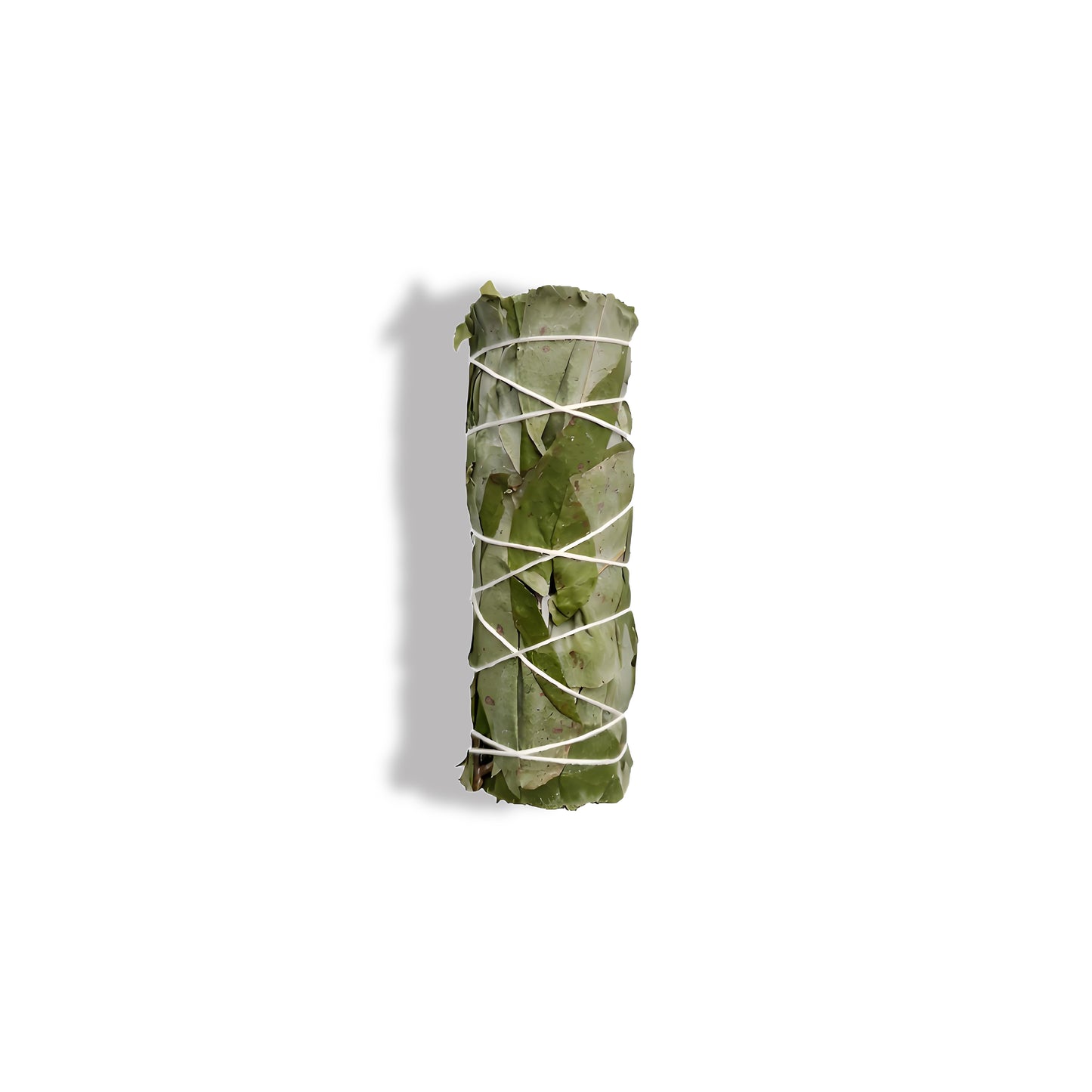 Celestial Respire | Wild Australian Eucalyptus Smudge Stick (Air & Aura Revival)
